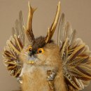 Wolpertinger Wolpi Musk Specimen with Stick, Deer Antlers, Orange Eyes, Mythical Creature 86.4.140