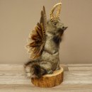 Wolpertinger Marble Stuffed Toy Mythical Creature with Wings, Beard, and Antlers Wolpi 86.16.48
