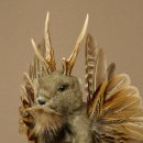 Wolpertinger Marble Stuffed Toy: Mythical Creature with Wings, Beard, and Antlers – Wolpi 86.16.52