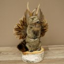 Wolpertinger knuffel, opgezette knuffel van een...