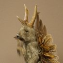 Wolpertinger knuffel, opgezette knuffel van een fabelwezen met vleugels, baard en gewei, Wolpi 86.16.53