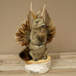 Wolpertinger knuffel, opgezette knuffel van een fabelwezen met vleugels, baard en gewei, Wolpi 86.16.53