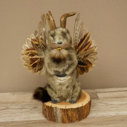 Wolpertinger knuffel, opgezette knuffel van een fabelwezen met vleugels, baard en gewei, Wolpi 86.16.55