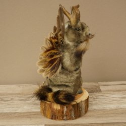 Wolpertinger knuffel, opgezette knuffel van een fabelwezen met vleugels, baard en gewei, Wolpi 86.16.55