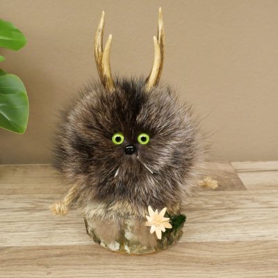 Wolpertinger «Wolpi», modelo mini, sobre base de madera, con flor de las nieves y ojos verdes. Altura: 22 cm. 86.1.3.53