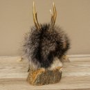 Wolpertinger «Wolpi», modelo mini, sobre base de madera, con flor de las nieves y ojos verdes. Altura: 22 cm. 86.1.3.53