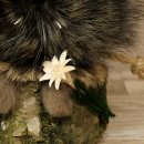 Wolpertinger «Wolpi», modelo mini, sobre base de madera, edelweiss y ojos morados, altura 21 cm, 86.1.3.54