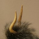 Wolpertinger Wolpi Mini Präparat grüne Augen Höhe 22 cm 86.1.1.50