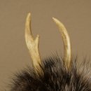 Wolpertinger Wolpi Mini, esemplare imbalsamato con occhi bianchi, altezza 22 cm, codice 86.1.1.51