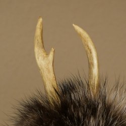 Wolpertinger Wolpi Mini, esemplare imbalsamato con occhi bianchi, altezza 22 cm, codice 86.1.1.51
