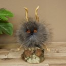 Wolpertinger Wolpi Mini, esemplare imbalsamato con occhi...
