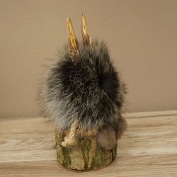 Wolpertinger "Wolpi" Mini Taxidermy Specimen with Dark Blue Eyes, Height 22 cm, 86.1.1.53