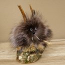 Wolpertinger Wolpi Mini, esemplare imbalsamato con occhi...