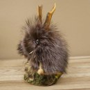 Wolpertinger Wolpi Mini, esemplare imbalsamato con occhi viola, altezza 22 cm, codice 86.1.1.54