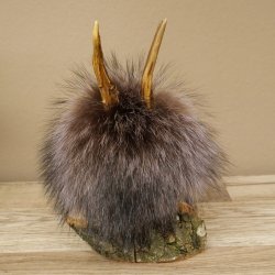Wolpertinger Wolpi Mini, esemplare imbalsamato con occhi viola, altezza 22 cm, codice 86.1.1.54