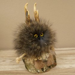 Wolpertinger Wolpi Mini, espécimen disecado con ojos amarillos, altura 22 cm, 86.1.1.55