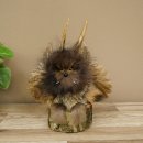 Wolpertinger Kleiner Wolpi Präparat gelbe Augen...