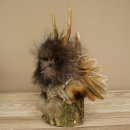Wolpertinger, «Pequeño Wolpi», espécimen disecado, ojos amarillos, alas, cuernos de ciervo, 86.2.128