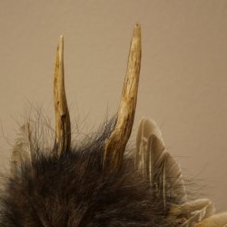 Wolpertinger, «Pequeño Wolpi», espécimen disecado, ojos amarillos, alas, cuernos de ciervo, 86.2.128