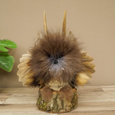 Wolpertinger Kleine Wolpi Opgezette exemplaar paarse ogen vleugels reehoorn 86.2.133