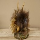Wolpertinger Kleine Wolpi Opgezette exemplaar paarse ogen vleugels reehoorn 86.2.133