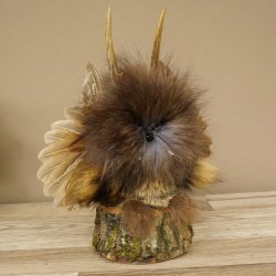 Wolpertinger Kleine Wolpi Opgezette exemplaar paarse ogen vleugels reehoorn 86.2.133