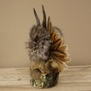 Wolpertinger Kleine Wolpi Opgezette exemplaar witte ogen vleugels reebuit hoorn 86.2.134