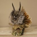 Wolpertinger Kleine Wolpi Opgezette exemplaar witte ogen vleugels reebuit hoorn 86.2.134