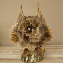 Wolpertinger Kleine Wolpi Opgezette exemplaar lichtblauwe...