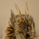 Wolpertinger Kleine Wolpi Opgezette exemplaar lichtblauwe ogen vleugels reehoorn 86.2.135