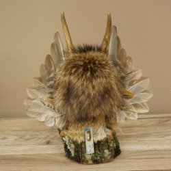 Wolpertinger Kleine Wolpi Opgezette exemplaar lichtblauwe ogen vleugels reehoorn 86.2.135