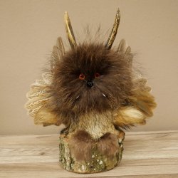 Wolpertinger Kleine Wolpi Opgezette exemplaar oranje ogen vleugels reehoorn 86.2.136
