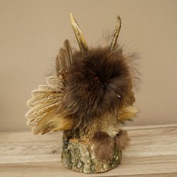 Wolpertinger Kleine Wolpi Opgezette exemplaar oranje ogen vleugels reehoorn 86.2.136