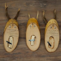 Corna di capriolo, 3 pezzi, caprioli maschi su targhette di betulla "Vintage" Caprioli Capriolo maschio Corna 22.1428