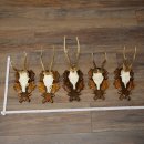 5 bois de chevreuil, mâles âgés,...