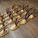 20 paires de bois de chevreuil (mâles) – Bois de chevreuil mâle sur socles pour trophées 20.131