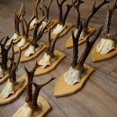 20 paires de bois de chevreuil (mâles) – Bois de chevreuil mâle sur socles pour trophées 20.131