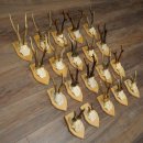 20 paires de bois de chevreuil (mâles) – Bois de chevreuil mâle sur socles pour trophées 20.131