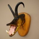 Fischwolpi Wolpertinger Hecht Gams Gamsschlauch Keiler...