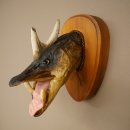 Fischwolpi Wolpertinger Keilerhecht Hecht Hirsch Geweih...