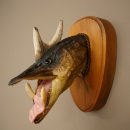 Fischwolpi Wolpertinger Keilerhecht Hecht Hirsch Geweih...