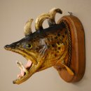 Fischwolpi Wolpertinger Bachforelle Keilerwaffen Kopf...
