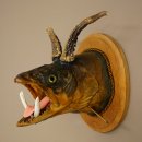 Fischwolpi Wolpertinger avec tête de chevreuil,...