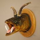Fischwolpi Wolpertinger avec tête de chevreuil,...