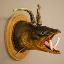 Fischwolpi Wolpertinger avec tête de chevreuil, truite empaillée, dents