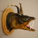 Fischwolpi Wolpertinger avec tête de chevreuil, truite empaillée, dents