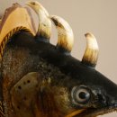 Fischwolpi Wolpertinger Drachenforelle Keilerwaffen Kopf Fisch Präparat