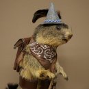 Wolpertinger, marmotte, randonneur : spécimen...