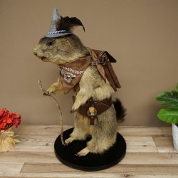 Wolpertinger, marmotte, randonneur : spécimen empaillé avec chapeau, sac à dos, foulard, bâton et gourde