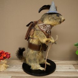 Wolpertinger, marmotte, randonneur : spécimen empaillé avec chapeau, sac à dos, foulard, bâton et gourde